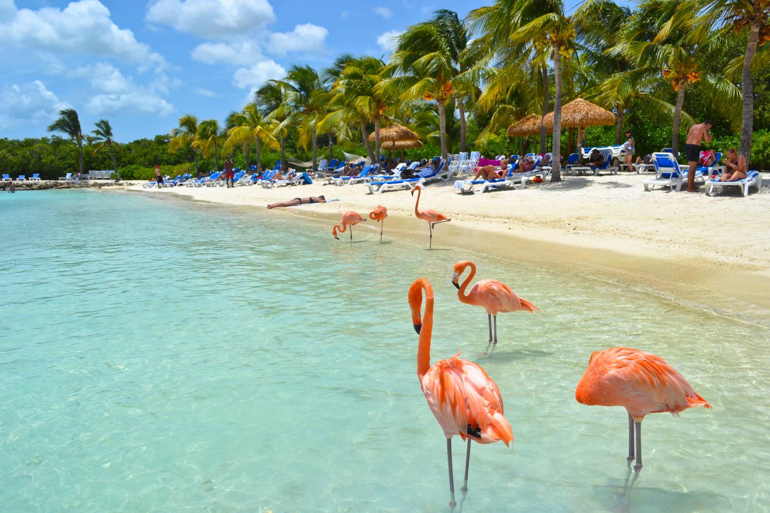 aruba-12